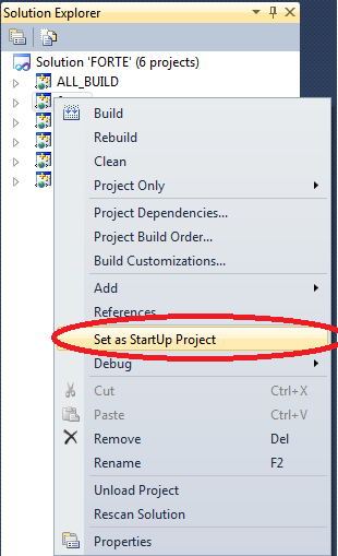 Set FORTE as main project in Visual Studio Express